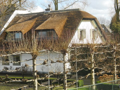 Albrandswaardsedijk 101 in 2014.